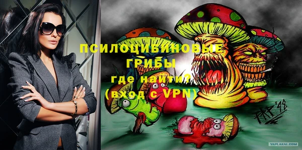 трава Арсеньев