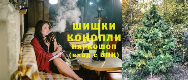 прущие грибы Армянск