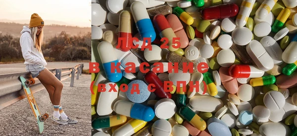 прущие грибы Армянск