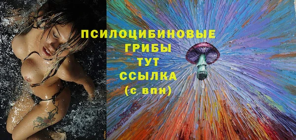 прущие грибы Армянск