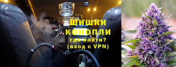 прущие грибы Армянск