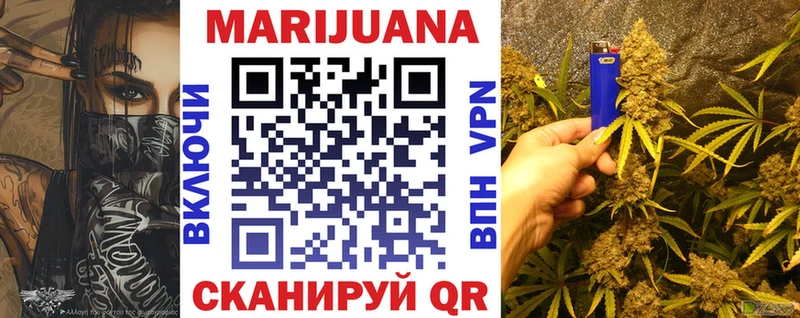 наркотики  Первомайск  Каннабис индика 